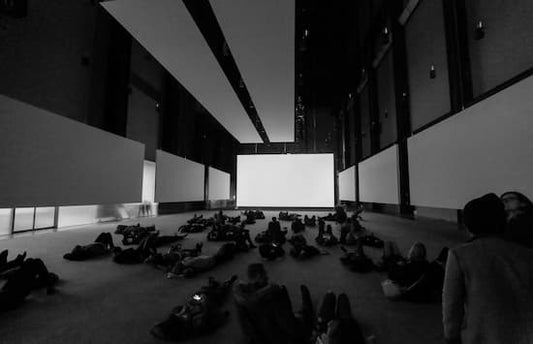 Best Projector Screens: Review & Choosing Tips