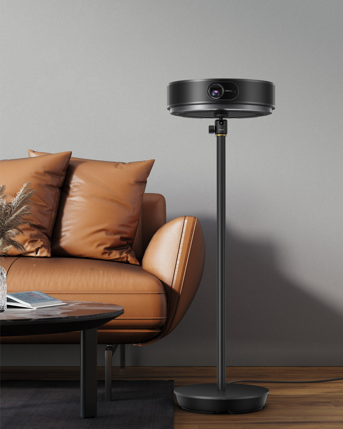 Projector Floor Stand